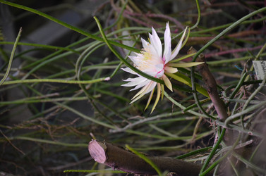 Similar image 21874119