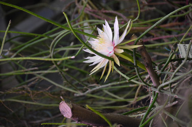 Similar image 21866653