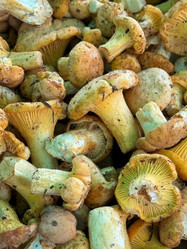 Similar image 21866655