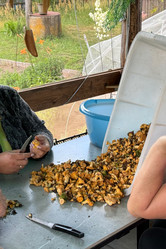 Similar image 21866656