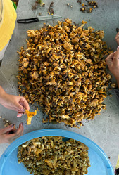 Similar image 21866658