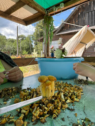 Similar image 21866659