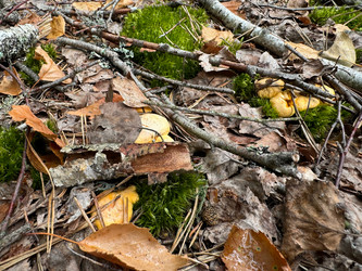 Similar image 21866660