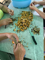 Similar image 21866661