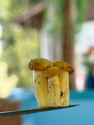 Similar image 21866662