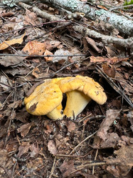 Similar image 21866663