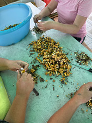 Similar image 21866664