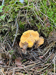 Similar image 21866667