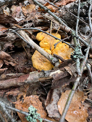 Similar image 21866669