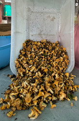 Similar image 21866670