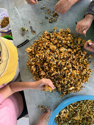 Similar image 21866671