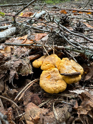 Similar image 21866673