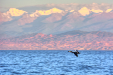 Similar image 21867117