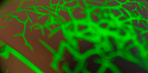 Similar image 21867141