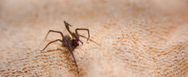 Similar image 21867161