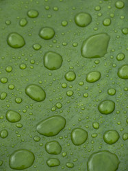 Similar image 21867438