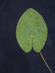 Similar image 21867440