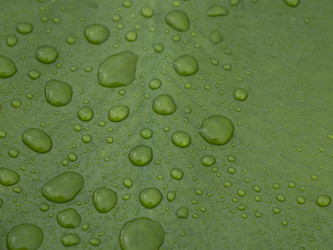 Similar image 21867443