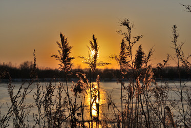 Similar image 21866678