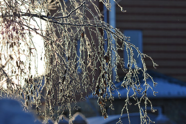 Similar image 21866703