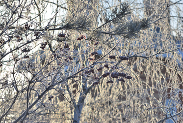 Similar image 21866705