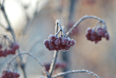 Similar image 21866708