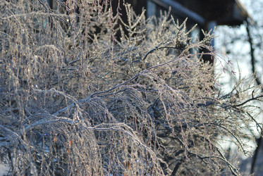 Similar image 21866709