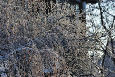 Similar image 21866710