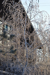 Similar image 21866712