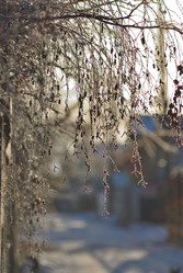 Similar image 21866713