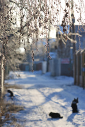 Similar image 21866714