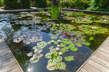 Similar image 21866716