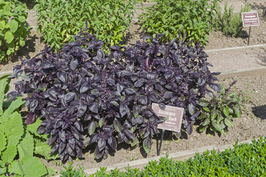 Similar image 21866717