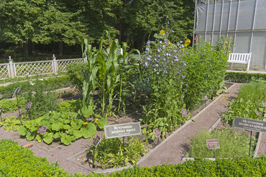 Similar image 21866719