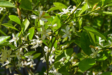 Similar image 21866721