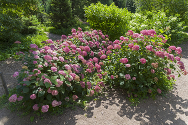 Similar image 21866722