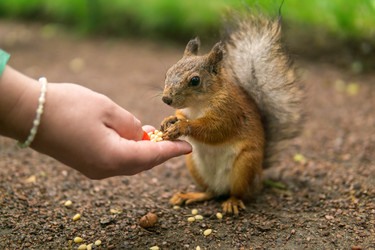 Similar image 21868827