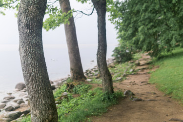 Similar image 21868830