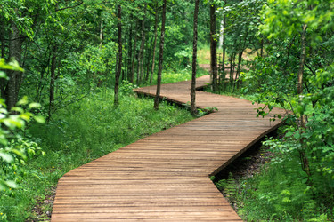 Similar image 21868835