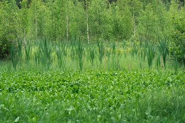 Similar image 21868836