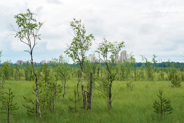 Similar image 21868838