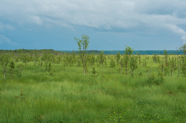 Similar image 21868839