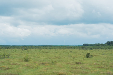 Similar image 21868843