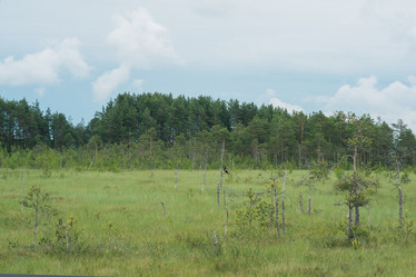 Similar image 21868845