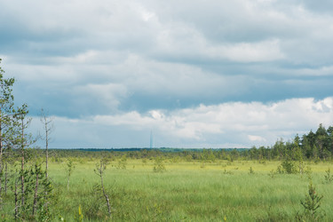 Similar image 21868848