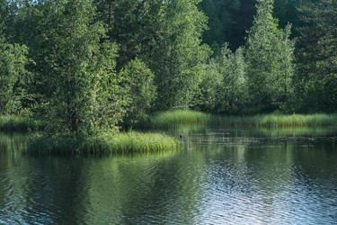 Similar image 21868852