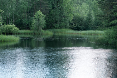 Similar image 21868854