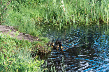 Similar image 21868856