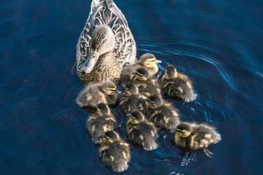 Similar image 21868858