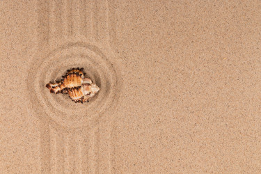 Similar image 21866929